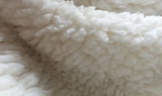 羊羔毛外套泛黄如何清洗 羊羔毛外套泛黄如何清洗掉