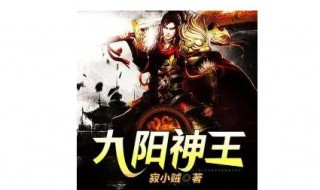 九阳神王主角几个老婆（九阳神王主角介绍）