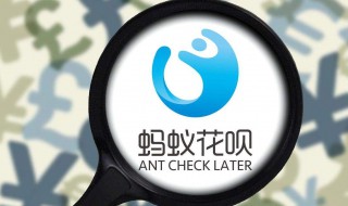 如何提升新手花呗额度(如何提升新手花呗额度的方法)