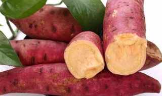 泥鳅红薯芋头的功效 地瓜芋头泥鳅有什么功效