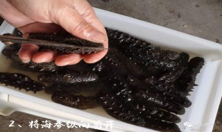 干海参泡发怎么洗 干海参泡发怎么洗净