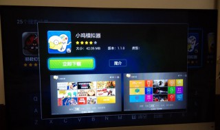 小鸡模拟器安装不了 小鸡模拟器安装不了怎么办