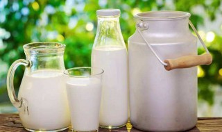 乳铁蛋白可以加到羊奶里么 乳铁蛋白是从牛奶里还是羊奶里提取的