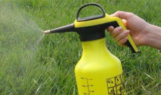 消毒喷壶怎么使用（消毒喷壶怎么使用的）