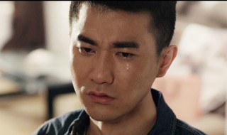 散打冠军当保安是第几集（散打冠军当保安是第几集的）