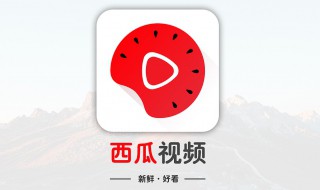 西瓜币能换钱吗（西瓜币怎么充值）