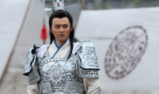 电视剧薛丁山演员表（电视剧薛丁山演员表大全）