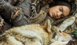 狼与人的电影有哪些2018（最近一部关于狼的电影）