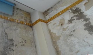 窗户边墙体发霉怎么解决?（窗户边墙体发霉怎么办）