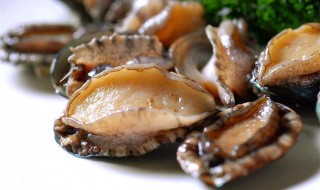 鲍鱼的营养价值（鲍鱼的营养价值和副作用）