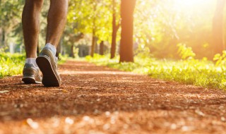 描写清晨的句子（描写清晨的句子和段落）