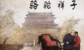 刘四爷为什么看不上祥子 刘四爷为什么看不上祥子?