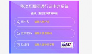 电子通行证审核时间（电子通行证使用时间）