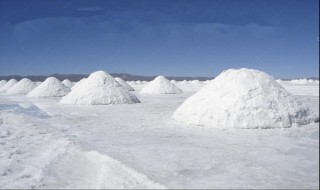 nacl由什么微粒构成（保持nacl化学性质的微粒）