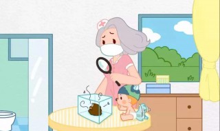 新生儿吃奶发出喉鸣声什么原因（新生儿吃奶发出喉鸣音）