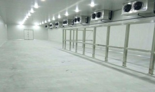 冷库制冰厂利润大概是多少 制冰厂的利润如何