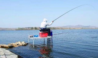 氟胺酮可以钓鱼吗 甲钴胺钓鱼