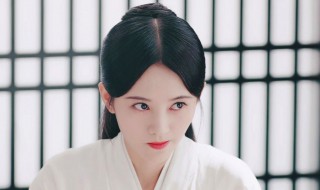 芸汐传演员表介绍(芸汐传演员表介绍 电视剧)