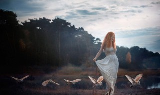 感悟人生的经典句子（董卿感悟人生的经典句子）