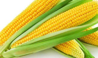 玉米如何深加工提高价值(玉米深加工做什么)