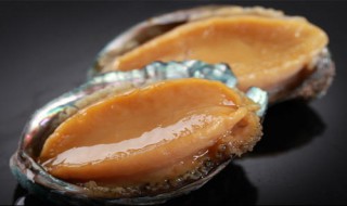 鲍鱼营养价值 鲍鱼营养价值高不高