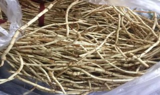 鱼腥草的功效与作用及食用方法 蒲公英鱼腥草的功效与作用及食用方法