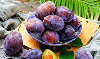 宝宝可以吃西梅吗(9个月宝宝可以吃西梅吗)