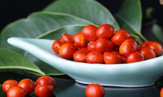 红豆营养价值（黑豆红豆营养价值）