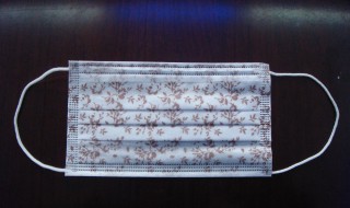 一个口罩成本价多少 一个口罩的成本价格是多少