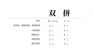 双拼和全拼的区别（拼音双拼和全拼的区别）