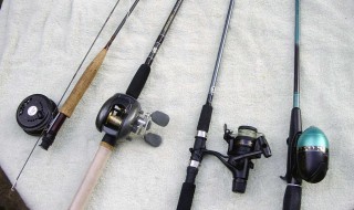37调鱼竿适合钓什么鱼 手竿37调适合钓什么鱼