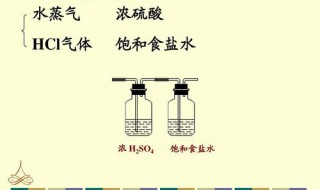 浓硫酸干燥气体的原理（浓硫酸干燥气体的原理化学式）