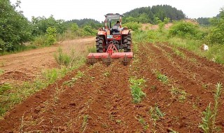 新手怎么用旋耕机旋地 新手怎么用旋耕机旋地头