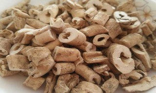 白鲜皮的功效与作用（白鲜皮的功效与作用及副作用）