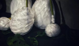 作茧自缚的例子 作茧自缚的例子20字