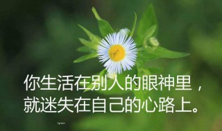 朋友圈打广告经典语录 朋友圈打广告经典语录大全