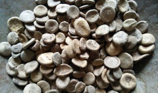 马钱子的功效与作用 马钱子的功效与作用及毒副作用