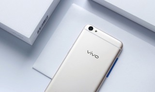 vivoy67支持电信卡吗 vivoy67a手机支持电信卡吗