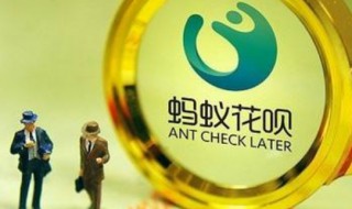 蚂蚁花呗额度怎么降低了 花呗额度怎么降低了?