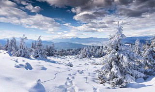 形容雪的词语 形容雪的词语和句子