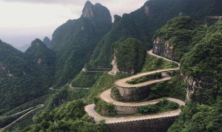 高处不胜寒是什么茶 哪种茶不寒凉