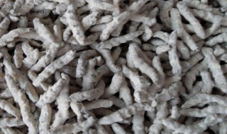 僵蚕的功效与作用 僵蚕的功效与作用与主治