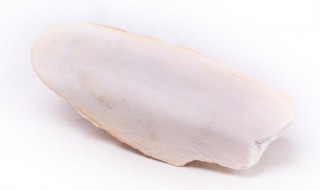 乌贼骨的功效与作用（乌贼骨的功效与作用及禁忌症）