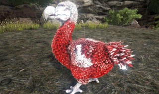 方舟生存进化渡渡鸟如何变大（方舟怎么让渡渡鸟体积增大）