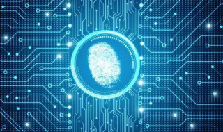 指纹与密码在设置的哪里 指纹与密码在设置的哪里vivo