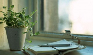 仓颉的贡献是什么（仓颉对人类的贡献）