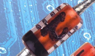 二极管的作用（二极管的作用是什么）