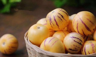 人参果盆栽怎么养殖（盆栽人参果的养殖方法）