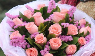 粉玫瑰的话语是什么 粉玫瑰花的话语