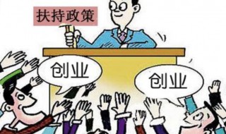 机会型创业的主要特征 机会型创业的主要特征是